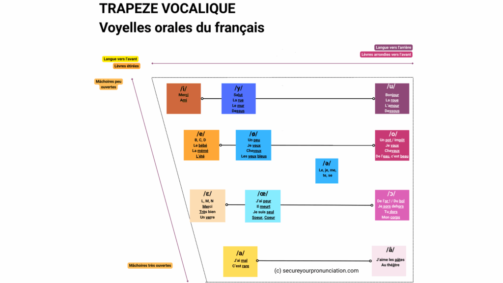 Placement des voyelles orales françaises sur les axes d'aperture (ouverture de la mâchoire) et d'étirement / arrondissement des lèvres.