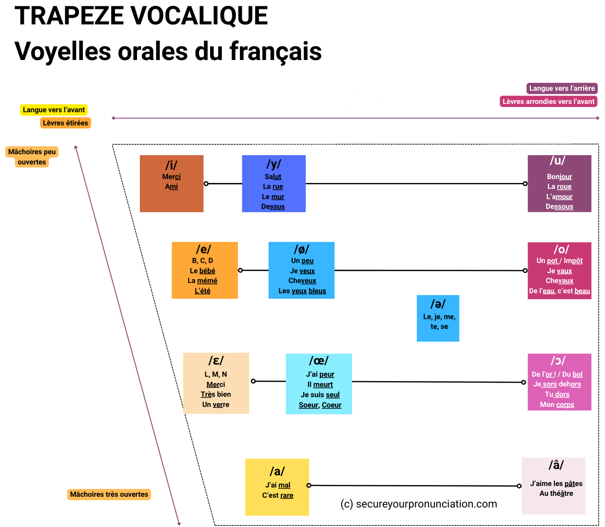 Trapèze vocalique final